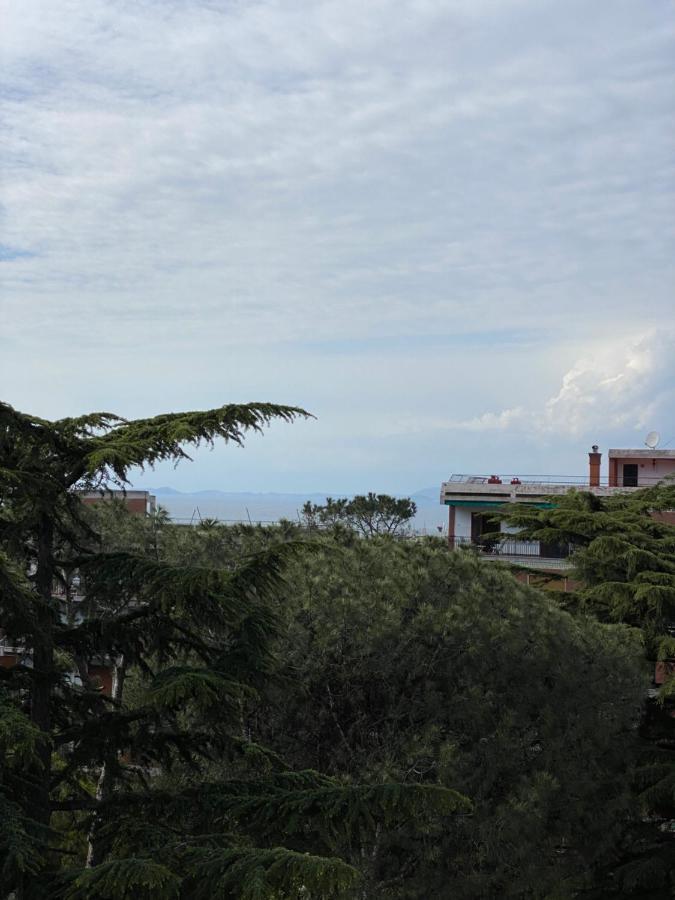 Sorrento Inn Lodge エクステリア 写真
